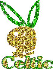 celticplayboysign.gif