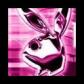 playboy3.jpg